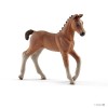 Hanoverian foal 8,3cm x 2cm x 8cm EOL