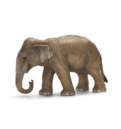 Slon azijski, samica 13,7cm x 6cm x 8,5cm EOL