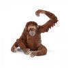 Orangutan 8,2cm x 6cm x 8cm