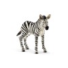 Zebra, mladič 7,6 cm x 2,2 cm x 7cm