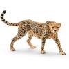 Gepard, samica 9,8cm x 3,6cm x 6,5cm EOL