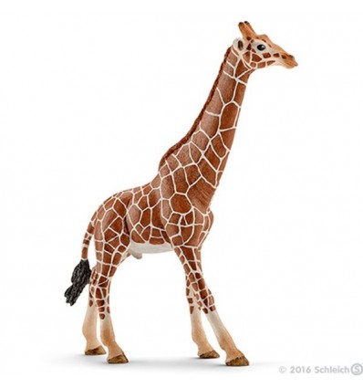 Žirafa, samec 12,7cm x 4,4cm x 17cm