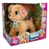 Imc Toys pliš kužek Milo 81314