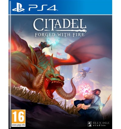 Citadel: Forged with Fire (PS4)