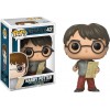 FUNKO POP: HARRY POTTER - HARRY POTTER(WITH MARAUDERS MAP)