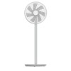 SMARTMI STANDING FAN 2S