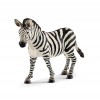 Zebra 7,6cm x 2,2cm x 7cm EOL