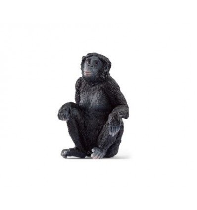 Samica Bonobo 4cm x 4,2cm x 6cm