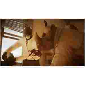 BlackSad: Under the Skin - Limited Edition (PS4) - Image 4