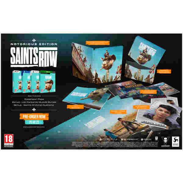 Saints Row - Notorious Edition (PC) - Image 2