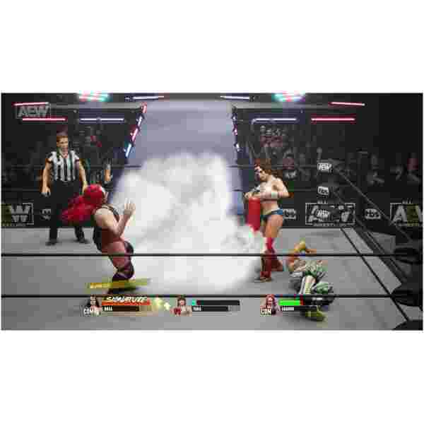 AEW: Fight Forever (Playstation 5) - Image 2