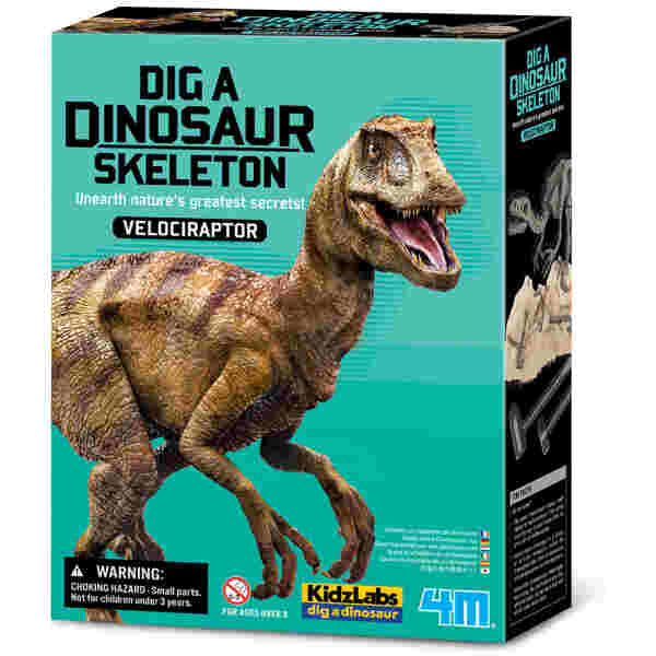 Dinozaver Velociraptor