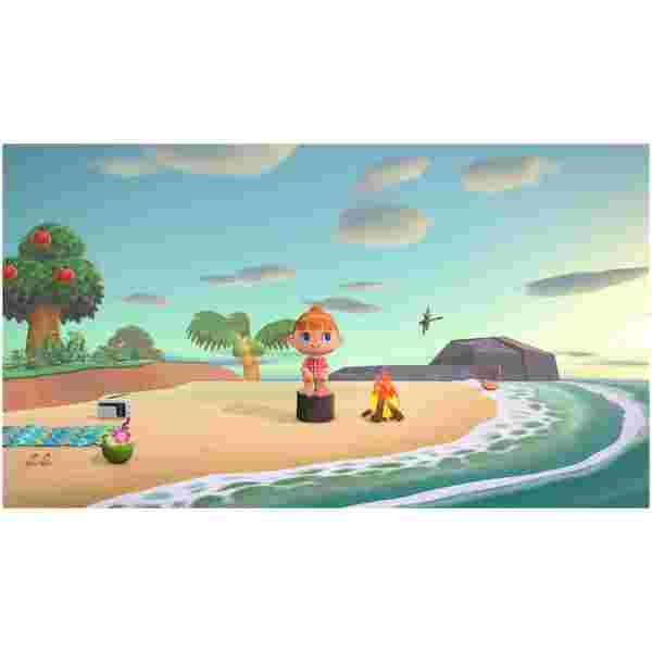 Animal Crossing: New Horizons (Switch) - Image 2
