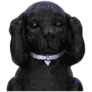NEMESIS NOW THREE WISE LABRADORS 8.5CM KIPCI - Image 3