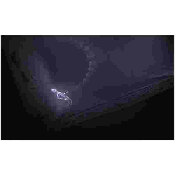 Darq - Ultimate Edition (Playstation 5) - Image 3