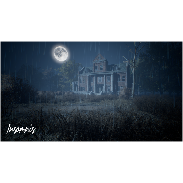 Insomnis - Standard Edition (Playstation 5) - Image 2