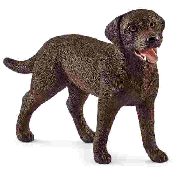 Labradorka 7