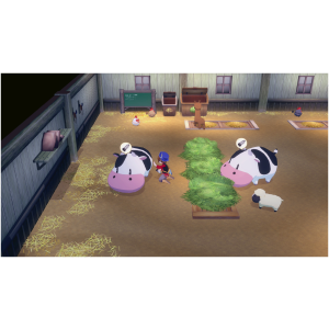 STORY OF SEASONS: Grand Bazaar (SWITCH) - Image 2