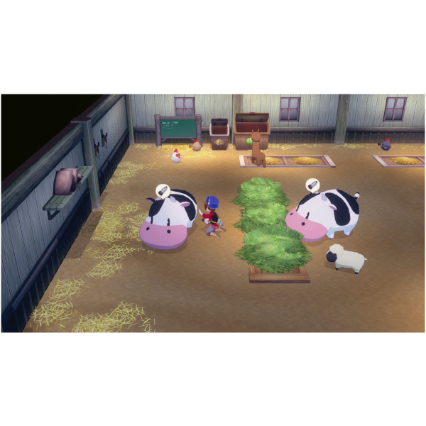 STORY OF SEASONS: Grand Bazaar (SWITCH) - Image 2
