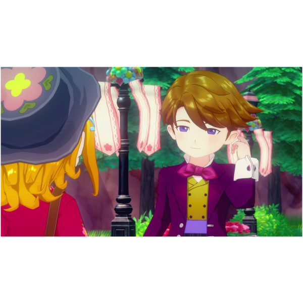 STORY OF SEASONS: Grand Bazaar (SWITCH) - Image 4