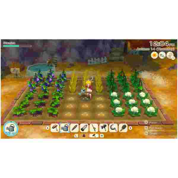 Story Of Seasons: Grand Bazaar - Limited Edition (SWITCH) - Image 3
