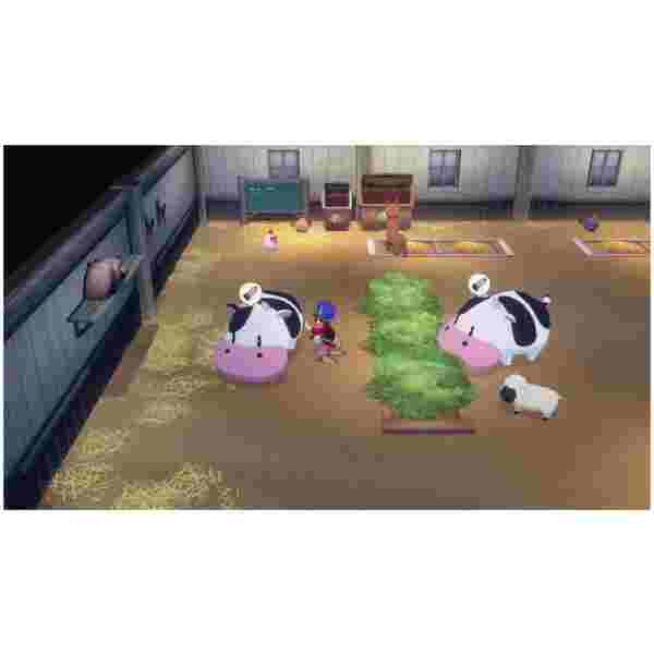Story Of Seasons: Grand Bazaar - Limited Edition (SWITCH) - Image 4