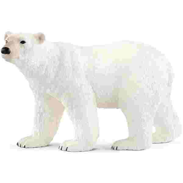 Polarni medved 12