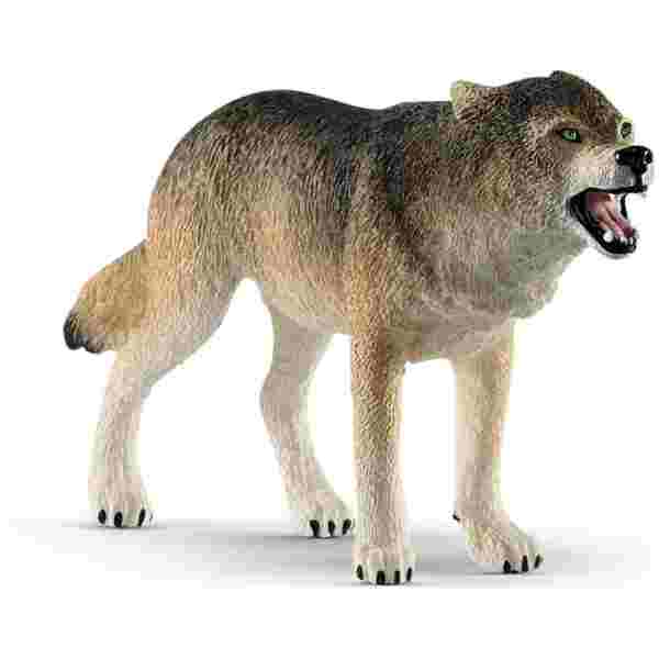 Volk 10