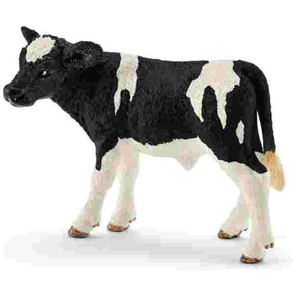 Teliček Holstein 7