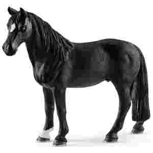 Konj Tennessee Walker 12