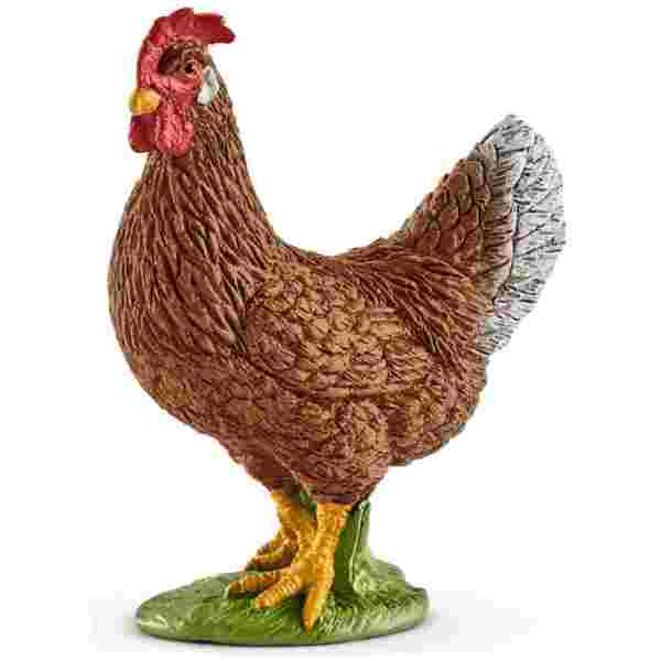 Kokoš