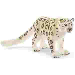 Beli leopard 10