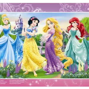 Sestavljanka Promenada princes 15d