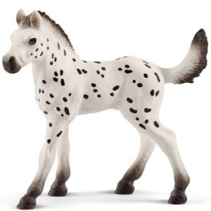 Žrebe Knabstrupper 8