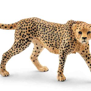 Gepard