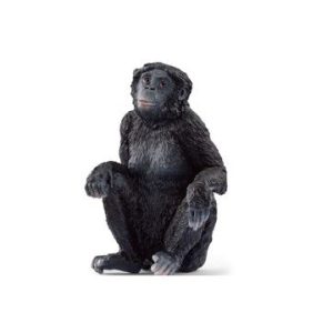 Samica Bonobo 4cm x 4