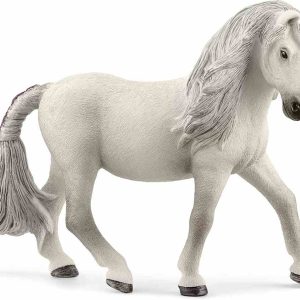 Poni