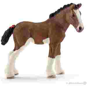 Žrebiček Clydesdale 8